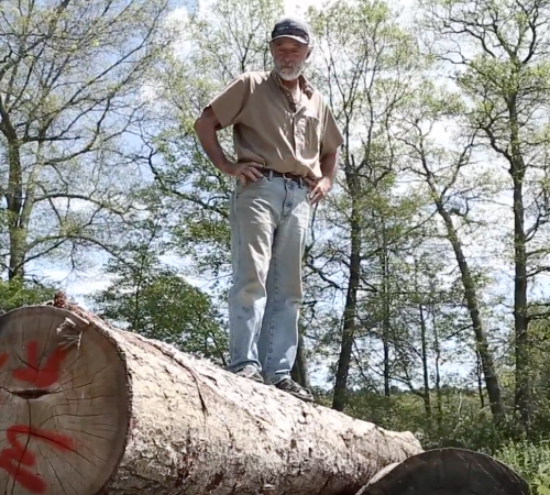 Building the TotalBoat Sport Dory: Episode 2 – Sourcing White Oak Logs
