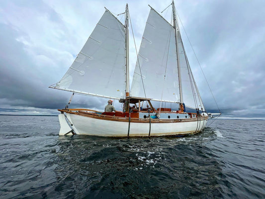 Acorn to Arabella: The Captivating Journey of a Wooden Sailboat