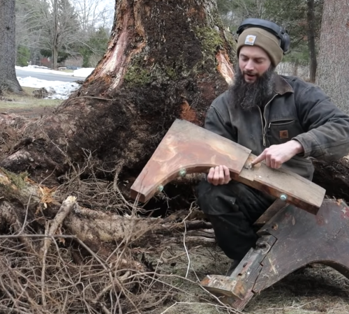 Acorn to Arabella: Harvesting Oak Root Stock for Knees