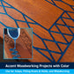 TotalBoat Epoxy Pigments Project Kit: Accent Woodworking Projects with Color